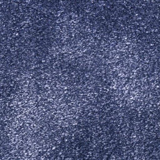 Van Besouw 2615 350