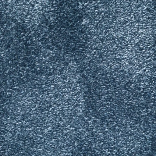 Van Besouw 2615 370