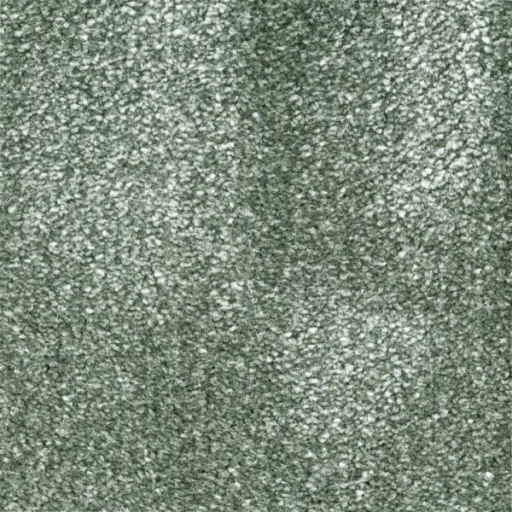 Van Besouw 2615 490