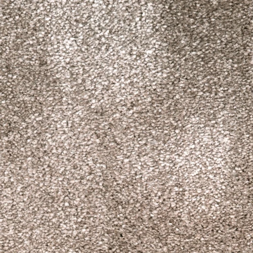 Van Besouw 2615 530