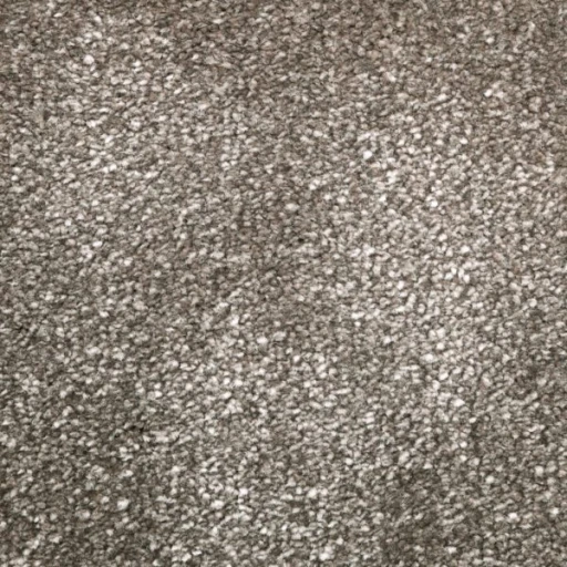 Van Besouw 2615 580