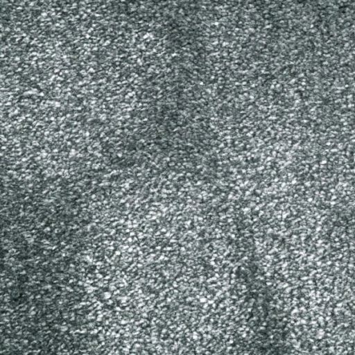 Van Besouw 2615 625