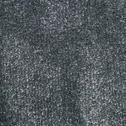 Van Besouw 2615 640