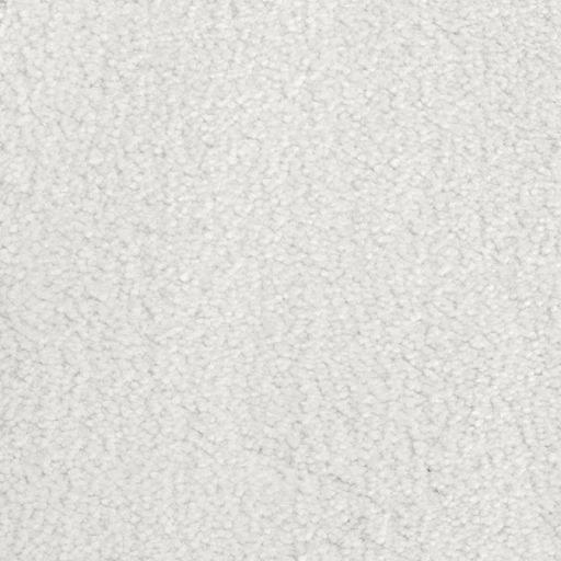 Van Besouw 2616 010