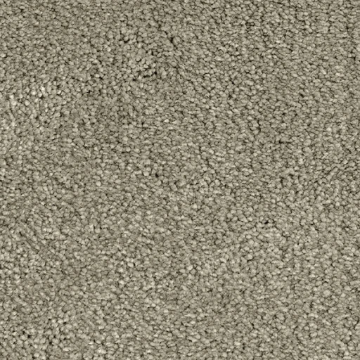 Van Besouw 2616 070