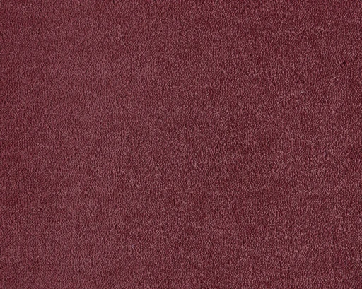 SmartStrand Dream Coral 122