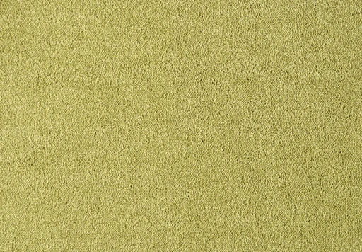 SmartStrand Dream Curry 541
