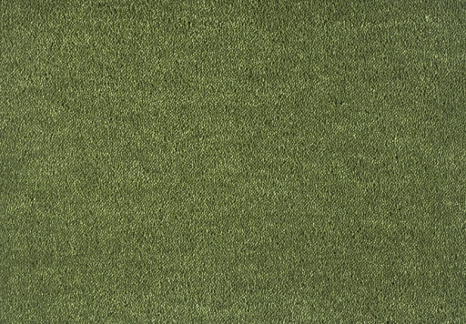 SmartStrand Dream Moss 591