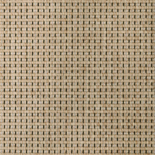 Epic Carpets Blend 2423-120