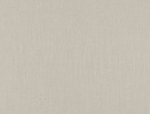 Ridex Arvena 02