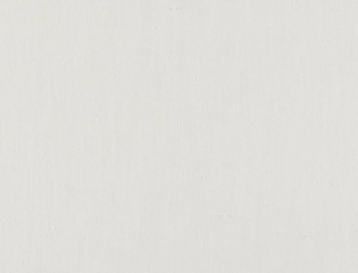 Ridex Arvena 03