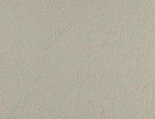 Ridex Arctic 09