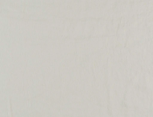 Ridex Belluci 03