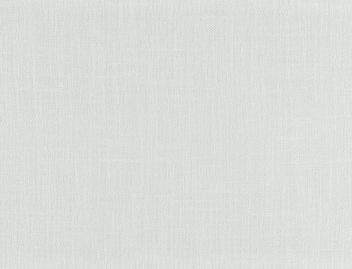 Ridex Canva 01