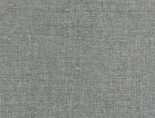 Ridex Canva 09