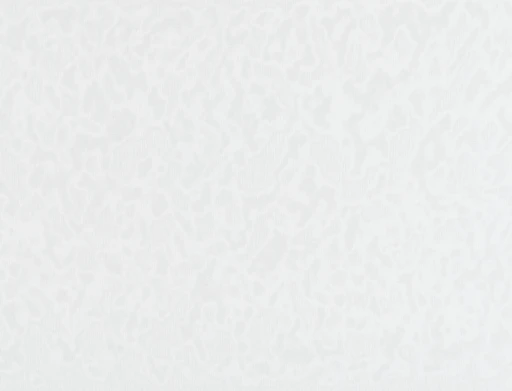 Ridex Essential Revital 01