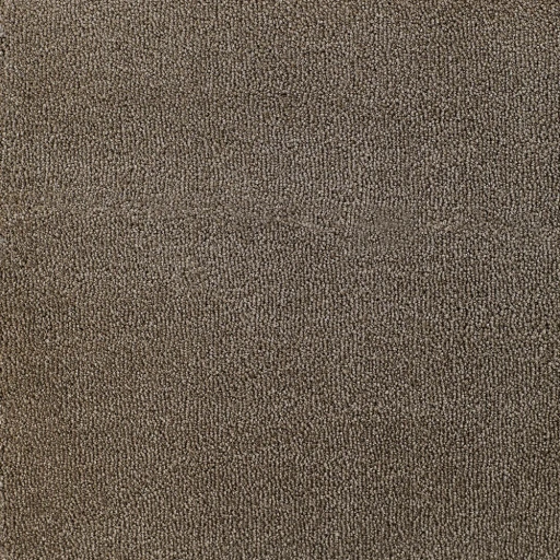Epic Carpets Evermore 143 Mole