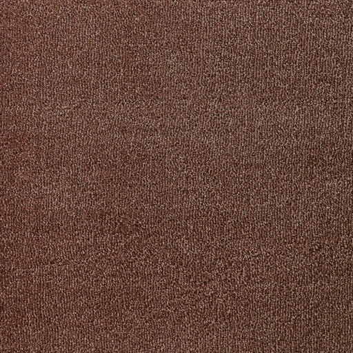 Epic Carpets Evermore 145 Bronze