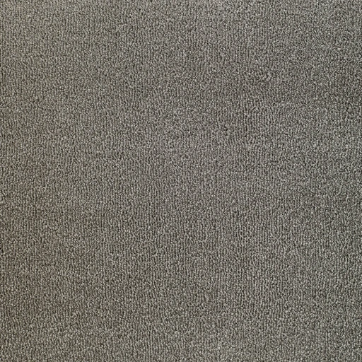 Epic Carpets Evermore 173 Squirrel