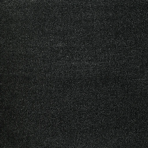 Epic Carpets Evermore 179 Graphite