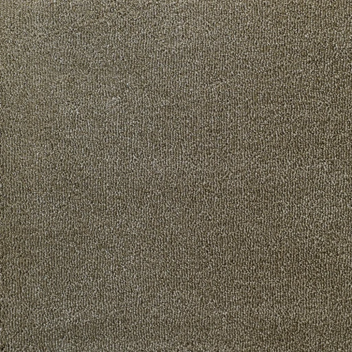 Epic Carpets Evermore 183 Crocodile