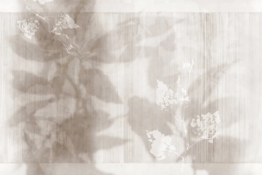 Glamora Shadow Illusion