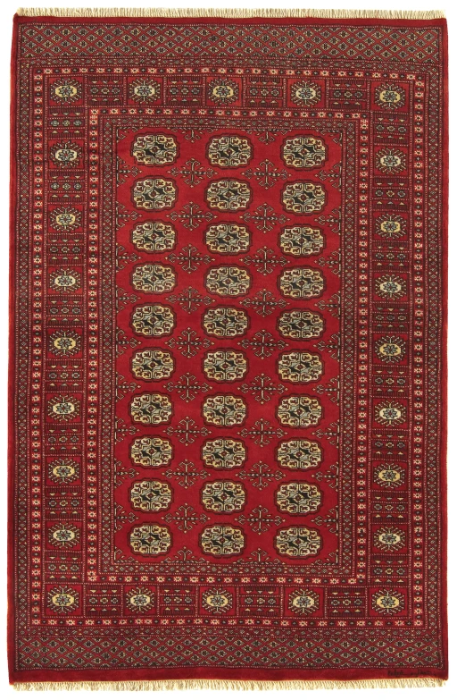 Asiatic Bokhara Red