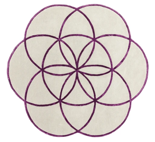 Asiatic Lotus Purple