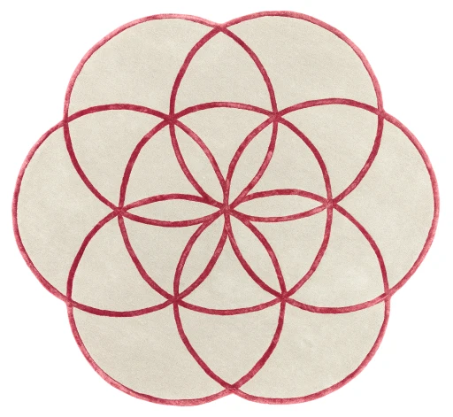 Asiatic Lotus Red
