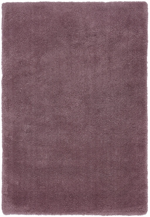 Asiatic Lulu Lavender
