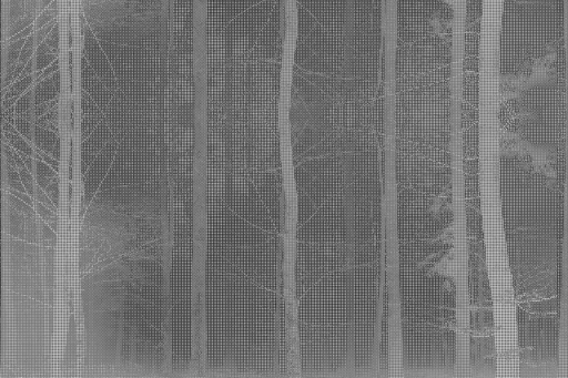 Glamora Pixelation Forest
