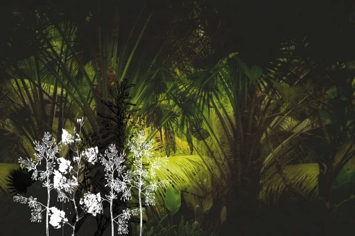 Glamora Frames Palms