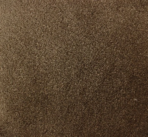 Epic Carpets Coast 123 Candy