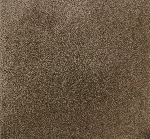 Epic Carpets Coast 132 Hare