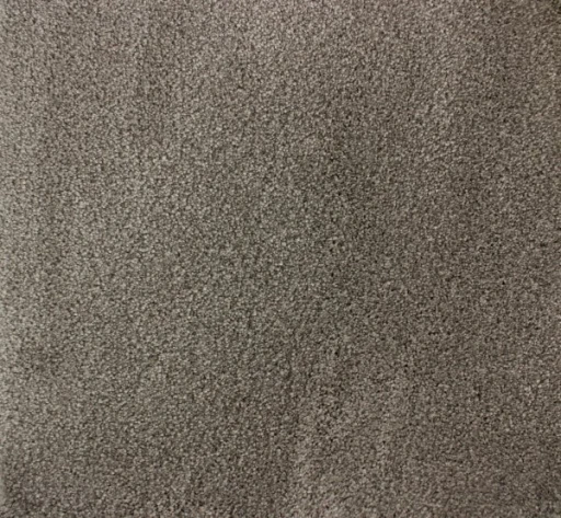 Epic Carpets Coast 139 Dove