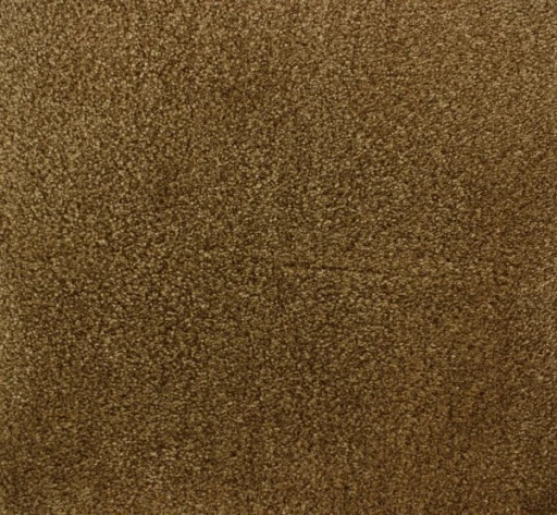 Epic Carpets Coast 162 Caramel