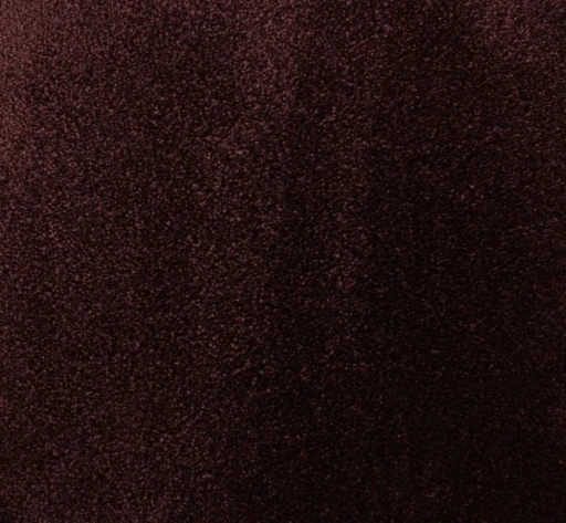 Epic Carpets Coast 185 Cherry