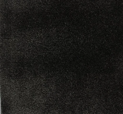 Epic Carpets Coast 189 Graphite