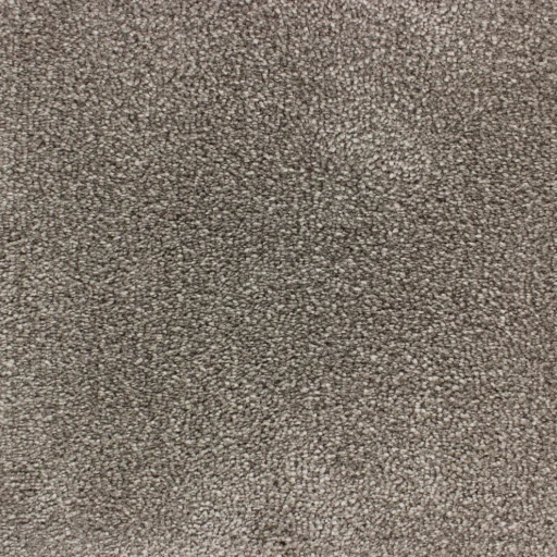 Epic Carpets Prestige 149 Platinum