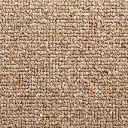 Epic Carpets Street 152 Honey