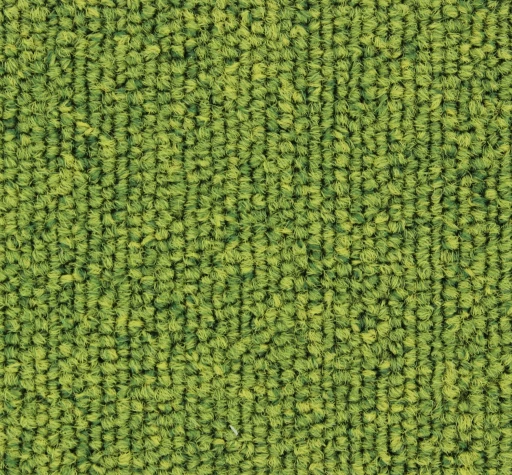 Epic Carpets Street 224 Moss