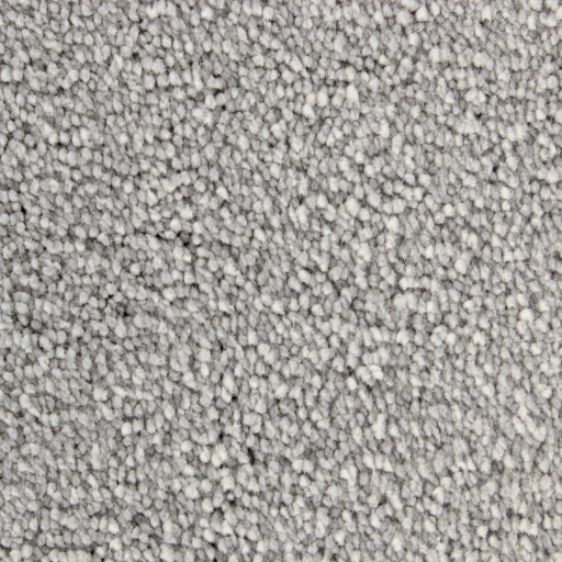 Epic Carpets Impress 169 Weasel
