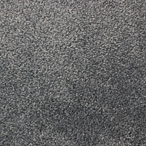 Epic Carpets Impress 189 Graphite