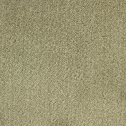 Epic Carpets Finese 114 Hay