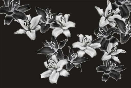 Glamora Essence Darklight