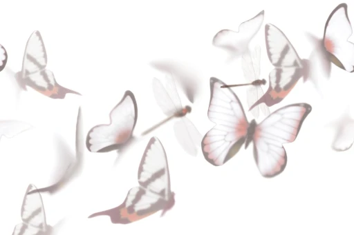 Glamora Visions Flutterby