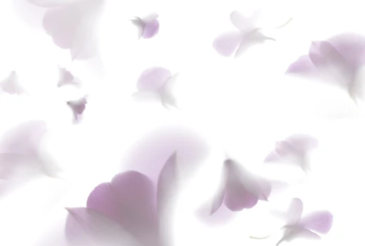 Glamora Visions Pink Rhaposdy