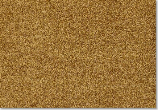 Epic Carpets Empathy 370 Gold Leaf
