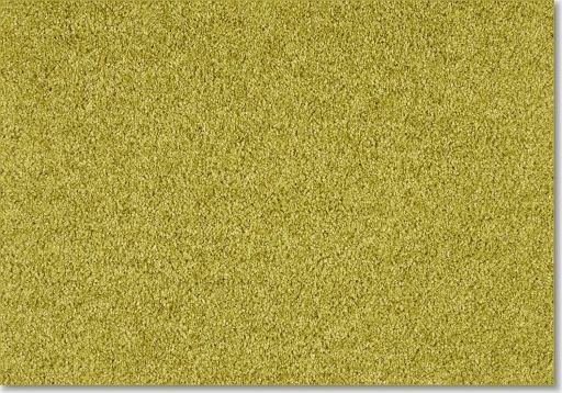 Epic Carpets Empathy 540 Curry
