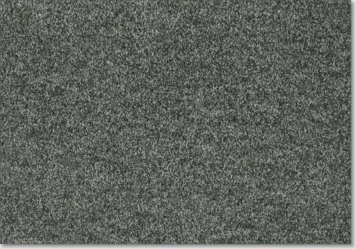 Epic Carpets Empathy 820 Slate